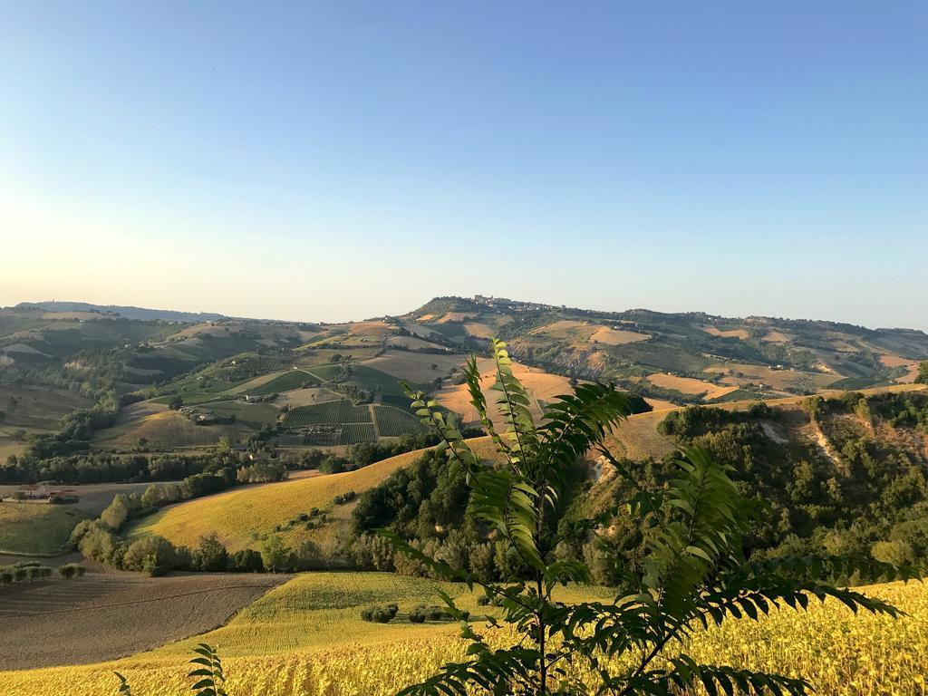 Moresco Agriturismo Dış mekan fotoğraf