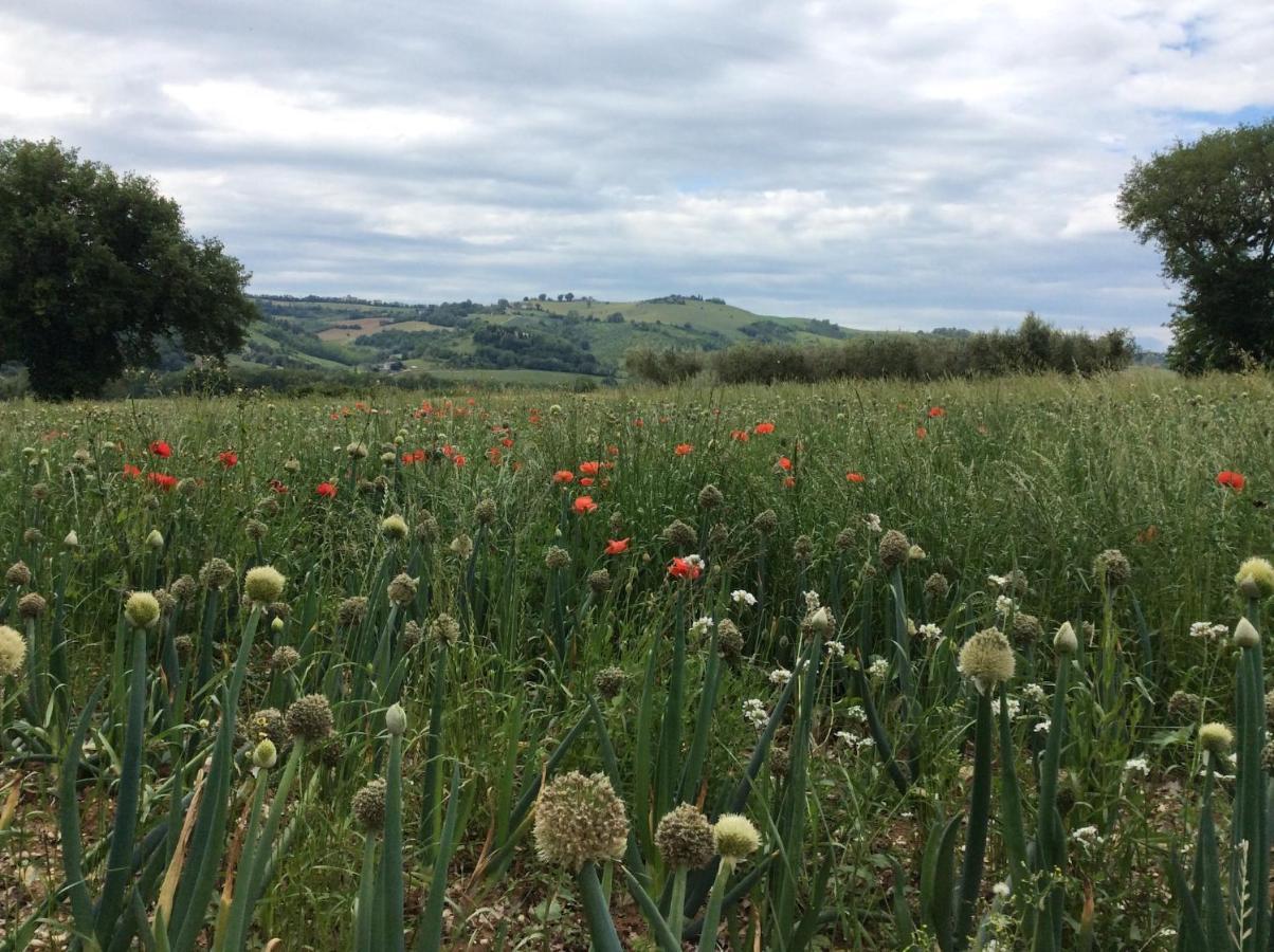 Moresco Agriturismo Dış mekan fotoğraf